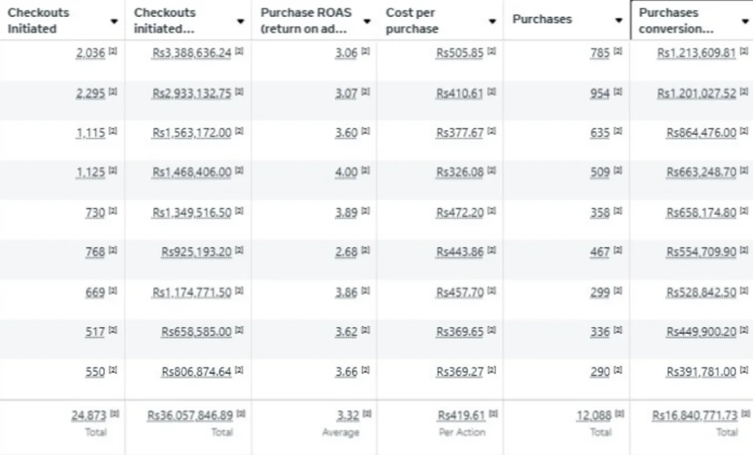 Meta Ads table showing 24,873 checkout initiations, 12,088 purchases, 3.32 average purchase ROAS and Rs 419.61 average cost per purchase.